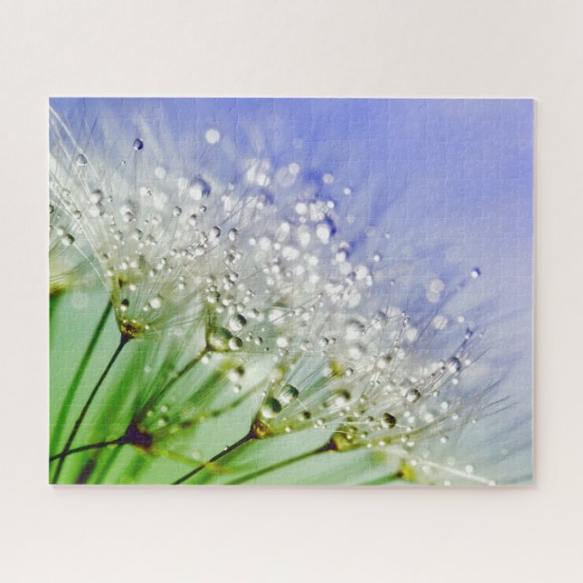 Dandelion Seeds with Dew Droplets Jigsaw Puzzle (Horizontal)