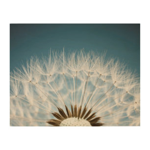 Dandelion Seeds Wood Wall Art