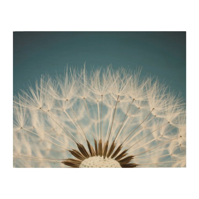 Dandelion Seeds Wood Wall Art (Front)