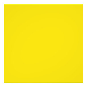 Dandelion (solid color)  photo print