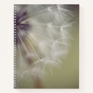 Dandelion Spiral Notebook