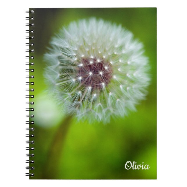 Dandelion Spiral notebook (Front)