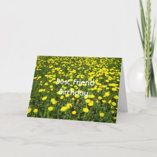 Dandelion Spring Birthday Friend Card