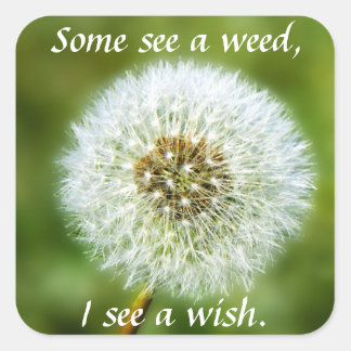 Some See A Weed Some See A Wish Gifts on Zazzle