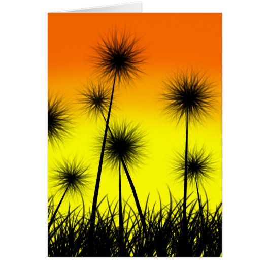 Dandelion Sunrise (Front)