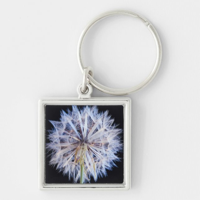 Dandelion (Taraxacum Officinale) Seed Head Keychain (Front)