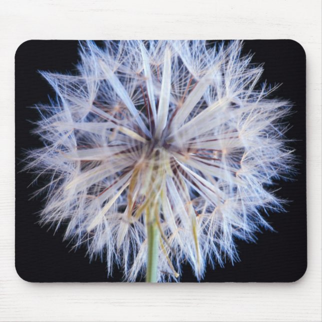 Dandelion (Taraxacum Officinale) Seed Head Mouse Pad (Front)