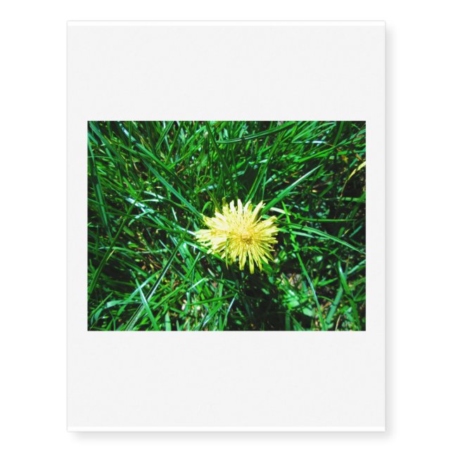 Dandelion Temporary Tattoos (Front)