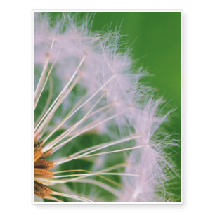 Dandelion Temporary Tattoos