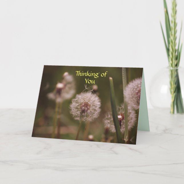 Dandelion Thinking of You Card (Front)