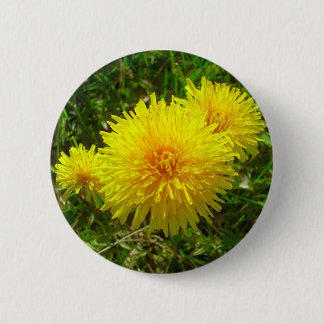 Dandelion Trio Button