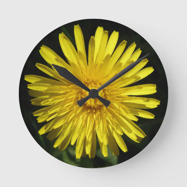 Dandelion Wall Clock | Zazzle
