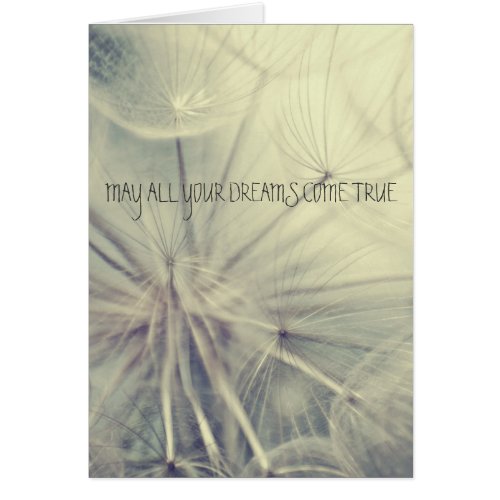 Dandelion Wish Beautiful Retro Seed Photo