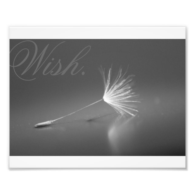 Dandelion Wish Photo (Front)