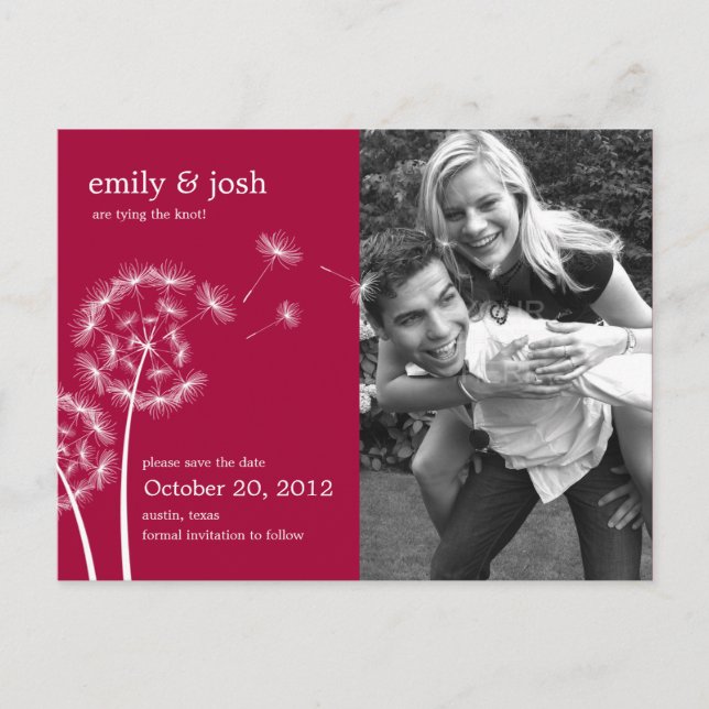 Dandelion Wish Photo Save The Date (Raspberry) Announcement Postcard (Front)