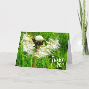 Dandelion Wishes - Thank You for being my wish Card