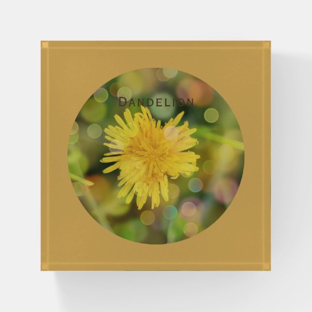 Dandelion with Colorful Bokeh Indian Yellow Floral Paperweight (Front)