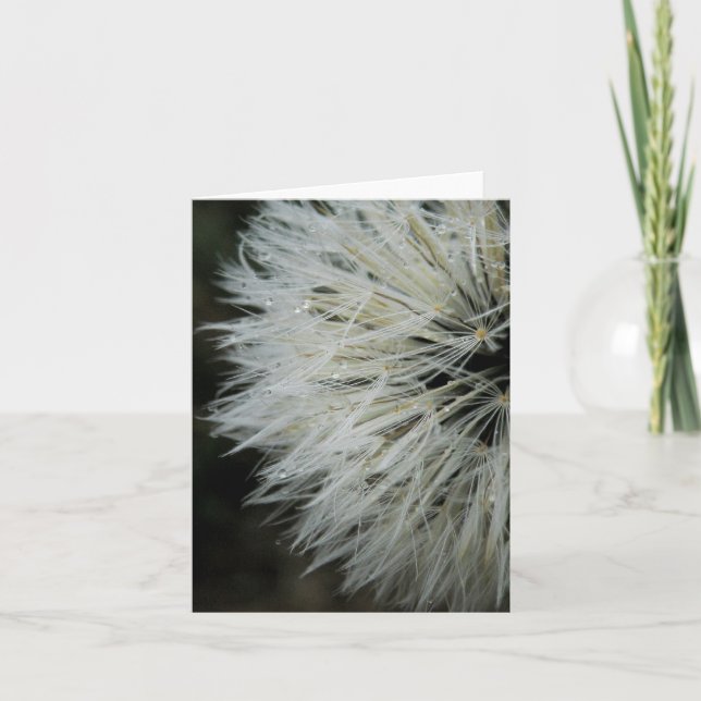 Dandelion with Dew Note Card (Front)