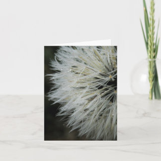Dandelion with Dew Note Card