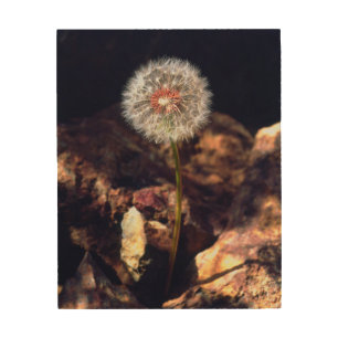 Dandelion Wood Wall Decor