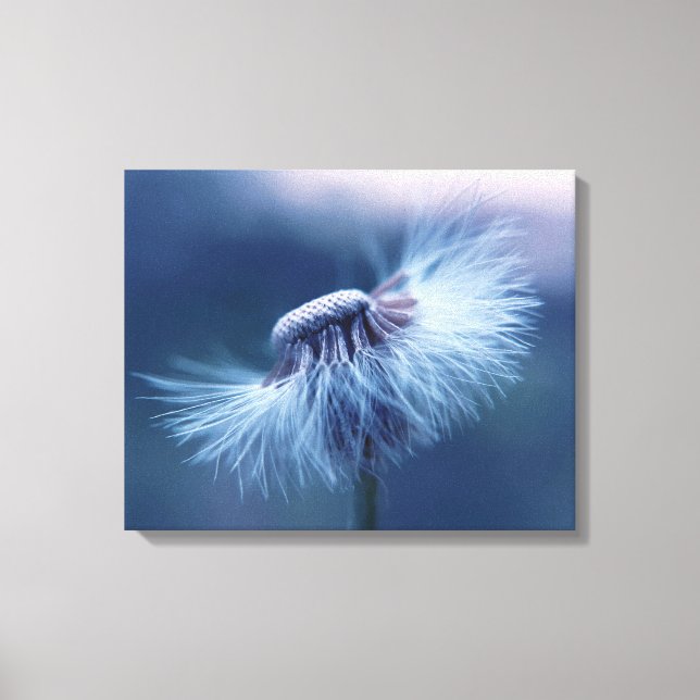 Dandelion Wrapped Canvas Art (Front)