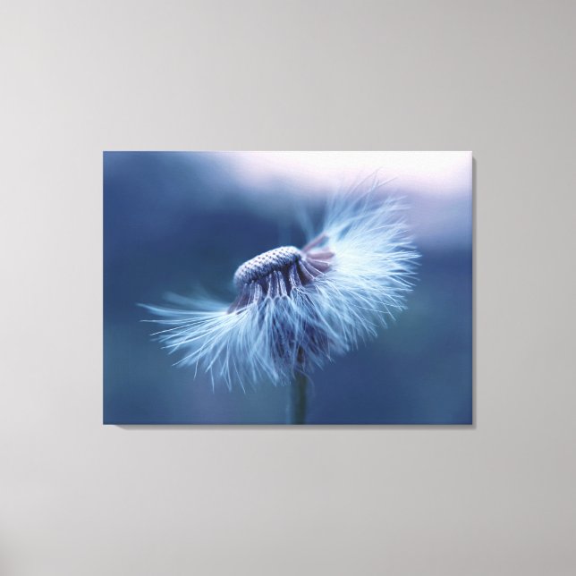 Dandelion Wrapped Canvas Art (Front)