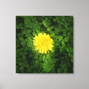 Dandelion Wrapped Canvas Print