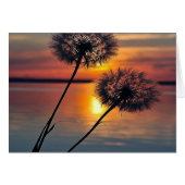 Dandelions (Front Horizontal)