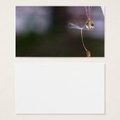 Dandelions (Front & Back)