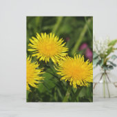 Dandelions (Standing Front)