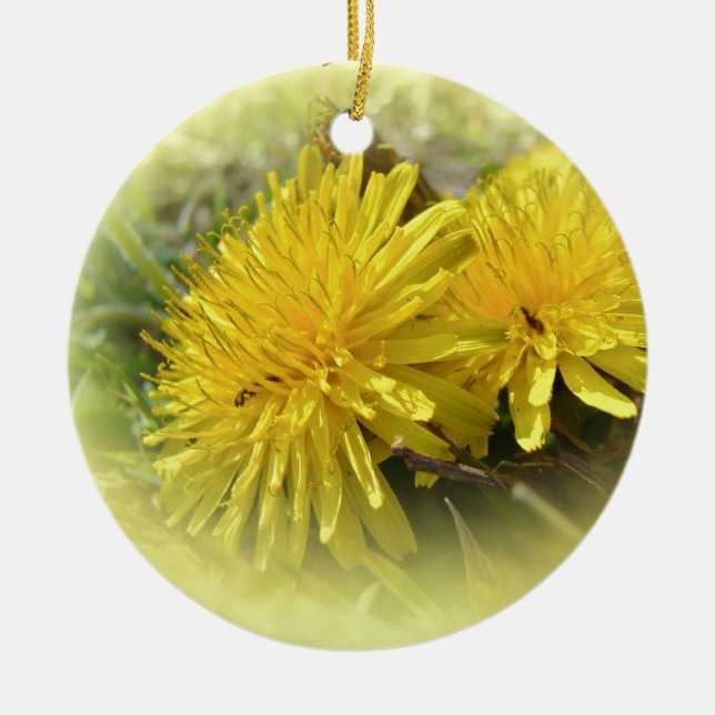 Dandelions - A Sunny Hi Ceramic Ornament (Front)