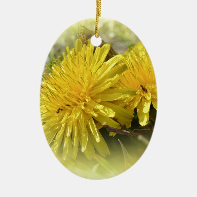 Dandelions - A Sunny Hi Ceramic Ornament (Front)