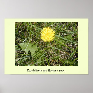 "Dandelions are flowers" poster