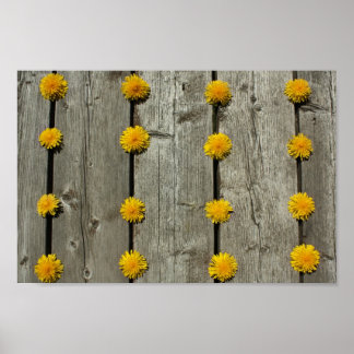 Dandelions Background Poster