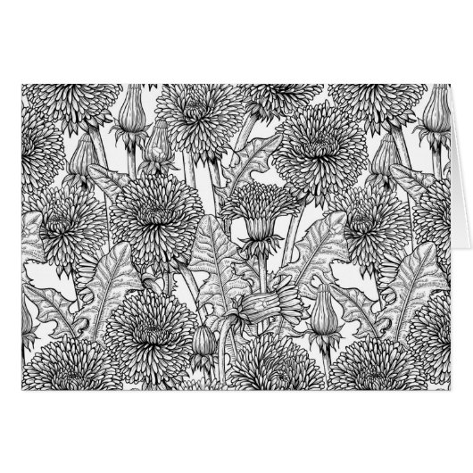 Dandelions, black and white (Front Horizontal)