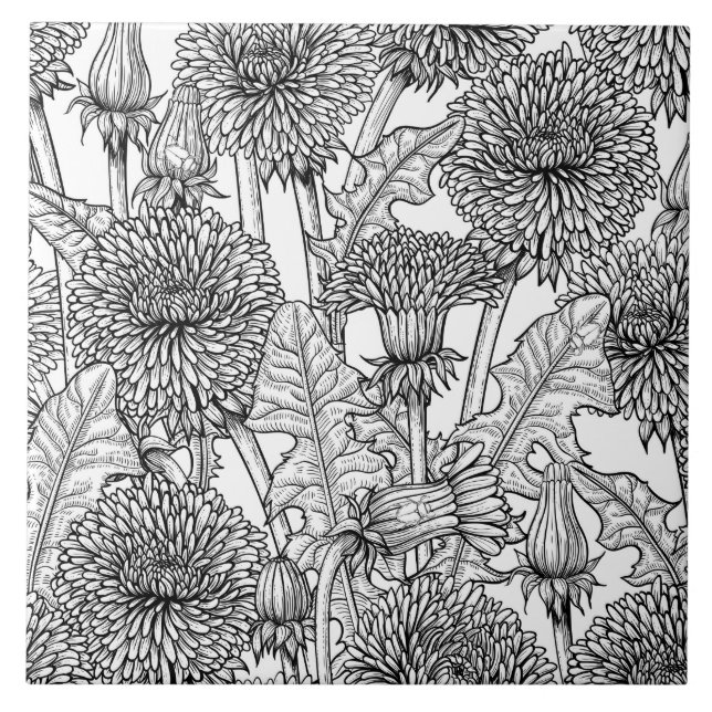 Dandelions, black and white ceramic tile (Front)