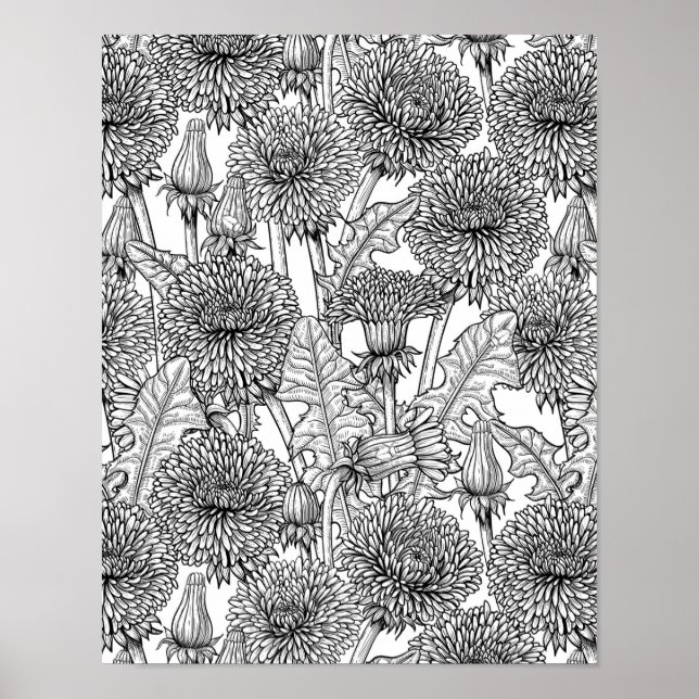 Dandelions, black and white poster (Front)