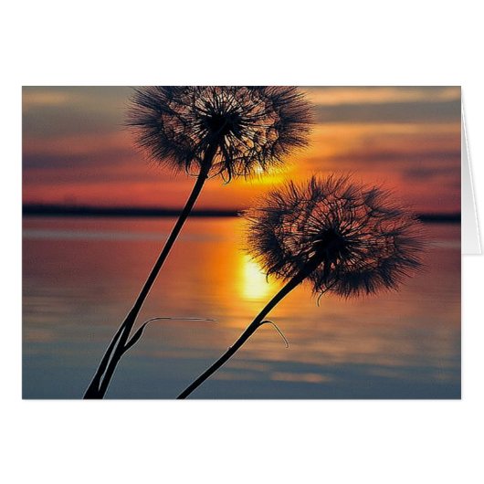 Dandelions Cards (Front Horizontal)