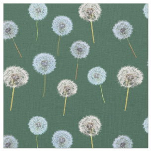 Dandelions Dandelion Clocks Photo Print Green Fabric