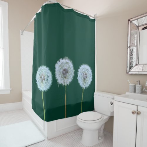 Dandelions Dandelion Clocks Photos Dark Green Shower Curtain