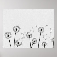 Dandelions Flowers Pappus Spores Gray