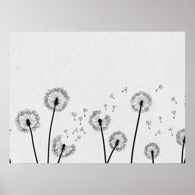 Dandelions Flowers Pappus Spores Gray Poster (Front)