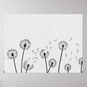 Dandelions Flowers Pappus Spores Grey Poster