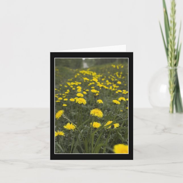 Dandelions in Minnesota Letterpress Thank You Card (Front)