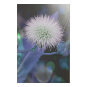 Dandelions in the sunshine , blue edition faux canvas print