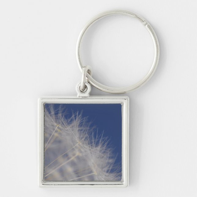 Dandelions Keychain (Front)