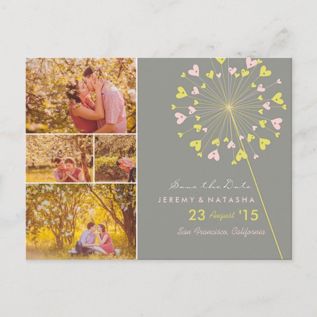Dandelions Love Hearts 4 Multi Photo Save The Date Announcement Postcard (Front)