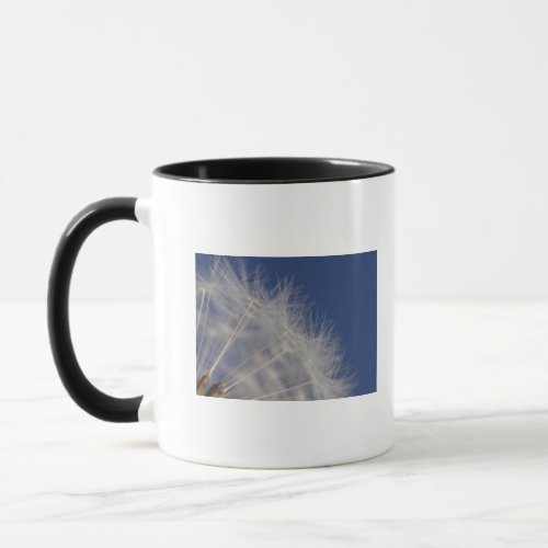 Dandelions Mug