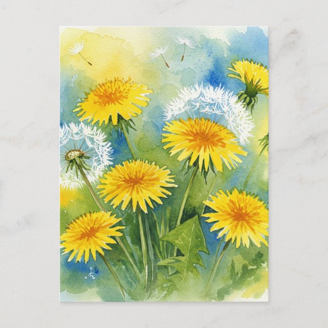 Dandelions Postcard (Front)