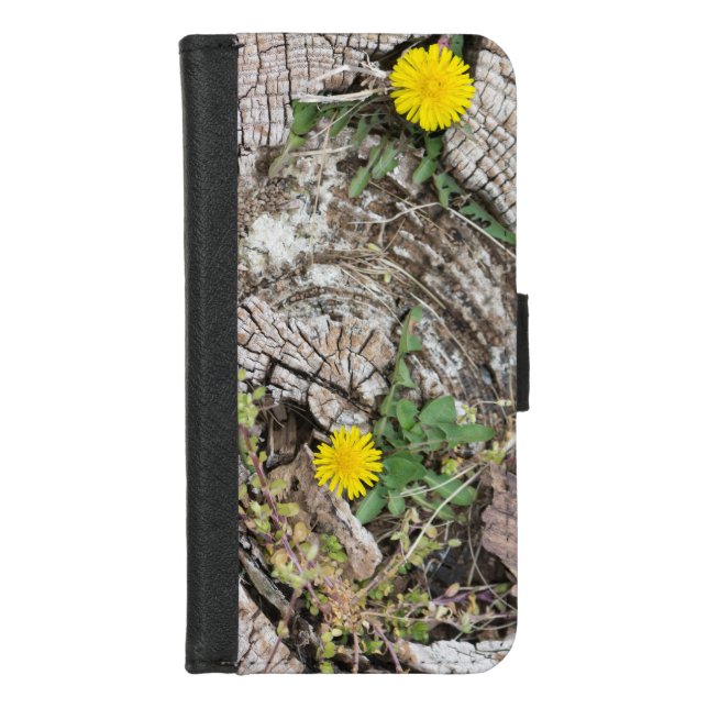 Dandelions still-life iPhone wallet case (Front)